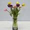 real look tulips